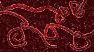 ¿Cómo evitar el contagio del ébola?