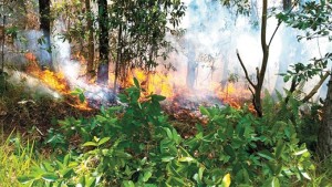 Militares Hieren A Cuatro Personas Que Trataron De Apagar El Fuego En Loma Miranda