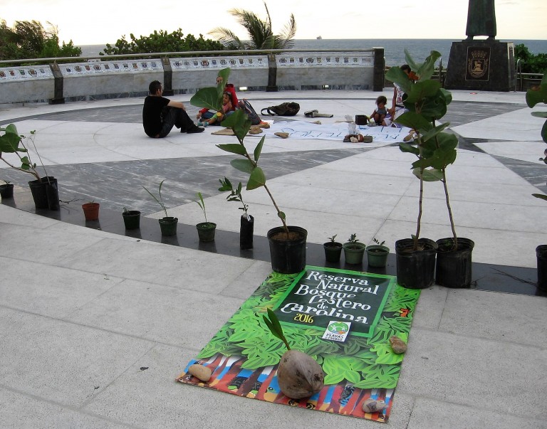 Reserva Natural Bosque Costero de Carolina en PR / Carolina Natural Costal Forest Reserve in PR