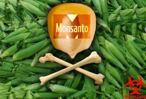 Entrevista Profesora Emma Tavarez sobre Semillas Toxicas de Monsanto y Ganancias Millonarias en Pto. Rico