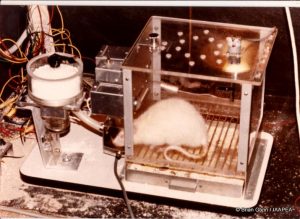 animal-testing-animal-research-shock-skinner-box-picture