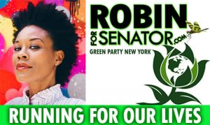 Entrevista / Interview with Robin Laverne Wilson candaste to Senator for NY 2016 Green Party