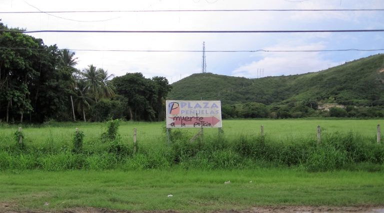 ¡Peñuelas no quiere cenizas!