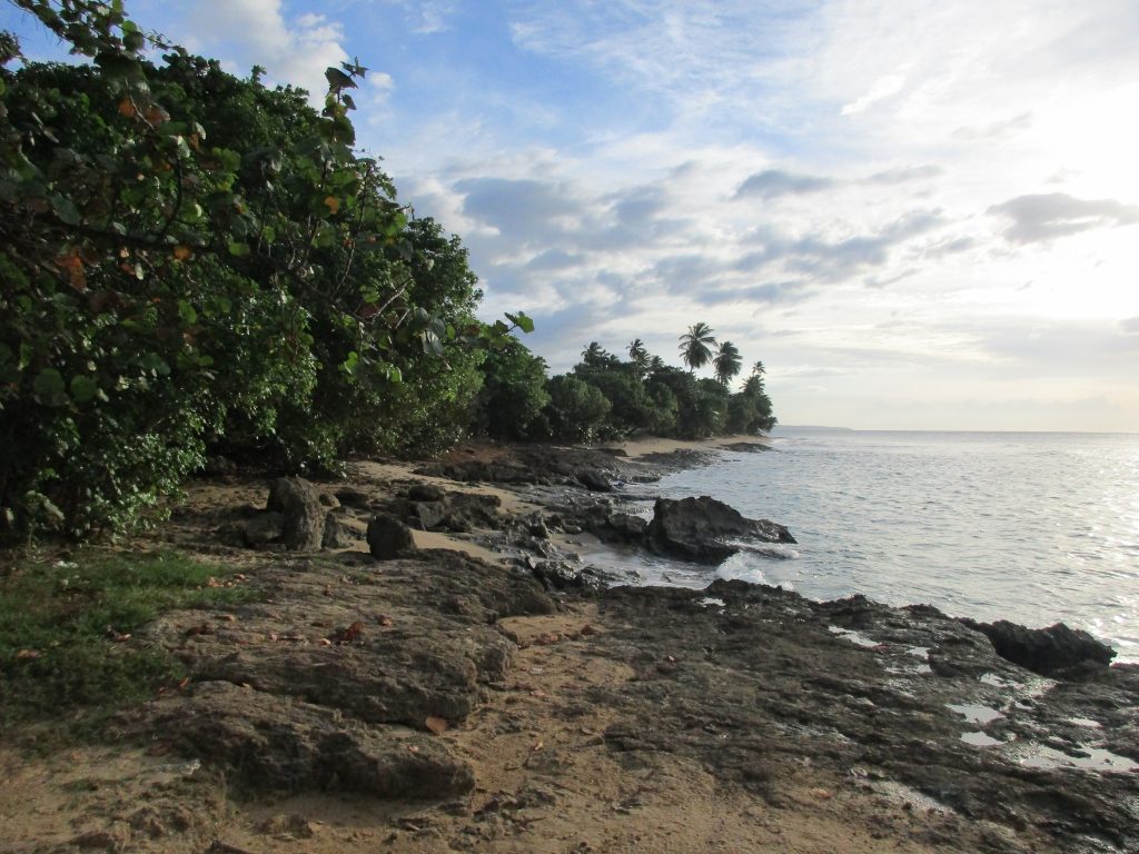 por-estas-tierras-estamos-dispuetos-a-defenderlas-y-dar-la-vida-si-es-necesario-playuela-dic-foto-por-edwin-chungo-molina