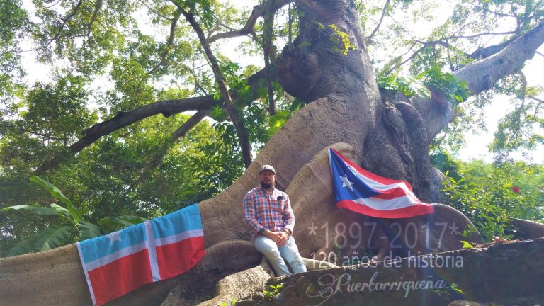 Un árbol en San German aún vitaliza su autonomía…