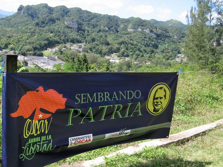 La Siembra del Árbol de la Libertad OLR / The Planting of the OLR liberty Tree