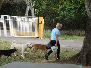 Entrevista a Wanda Roman sobre Cuido de Animales abandonados en Playas