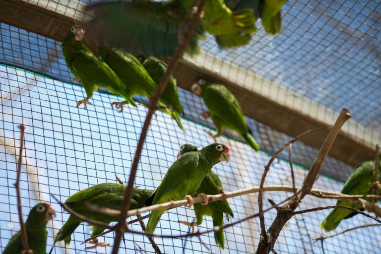 PR es otra víctima del imperialismo EEUU / PR is another victim of US imperialism