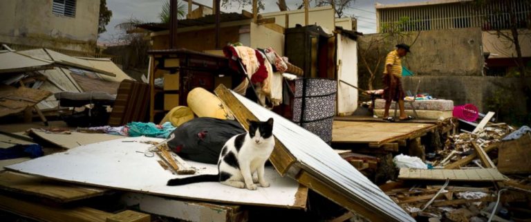 PR is being treated as she has always been