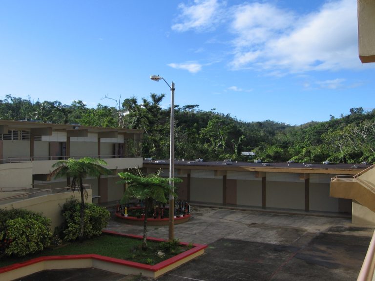 ¿Por qué los boricuas se van de su isla?