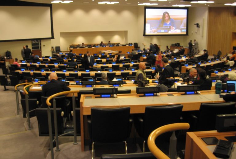 2019 UN hearing PR Decolonization