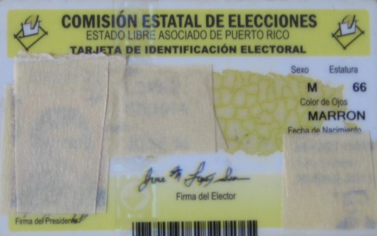 El propósito de las elecciones boricuas