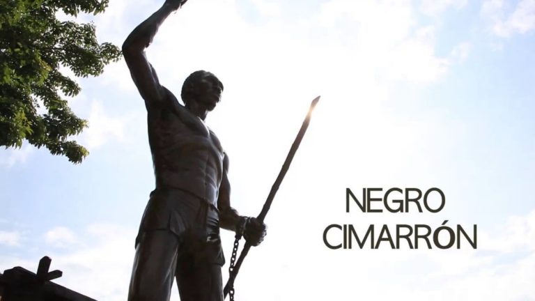 Buscando boricuas rebeldes