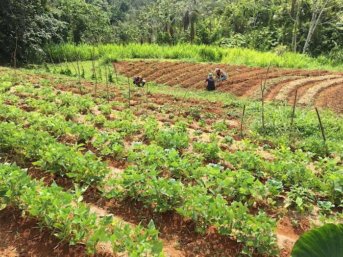 ¡La colonia es para poder discriminar!