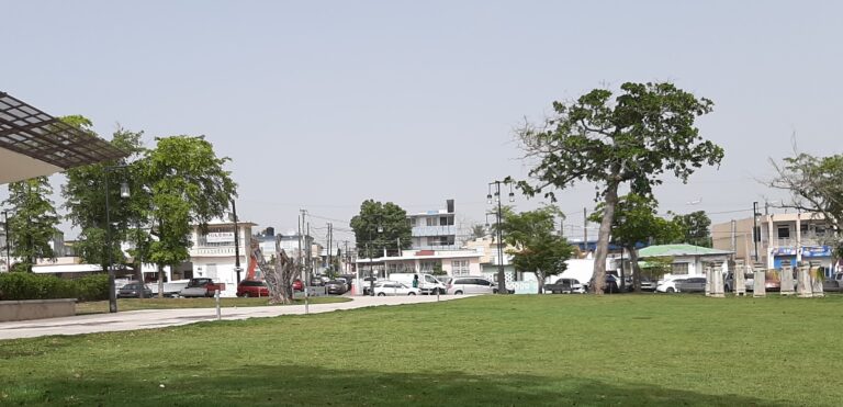 Todas las vidas son importantes