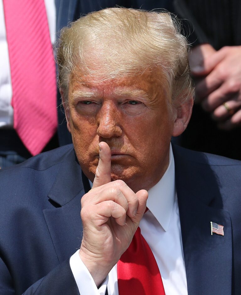 Trump quiere robarse las elecciones