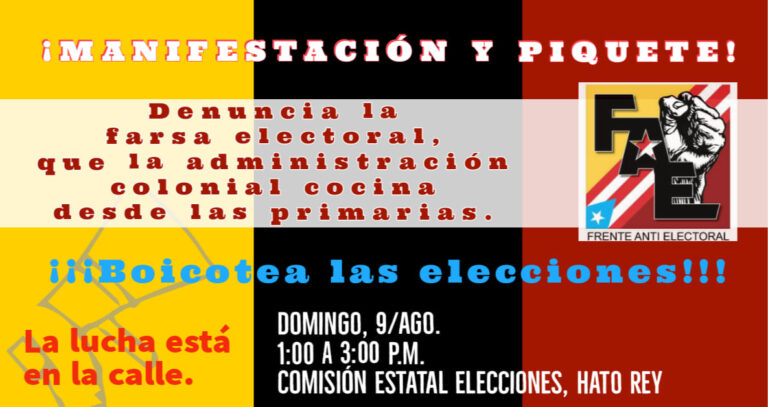 Piquete ¿Votar Para Qué?