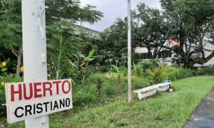 Agricultura como un acto revolucionario