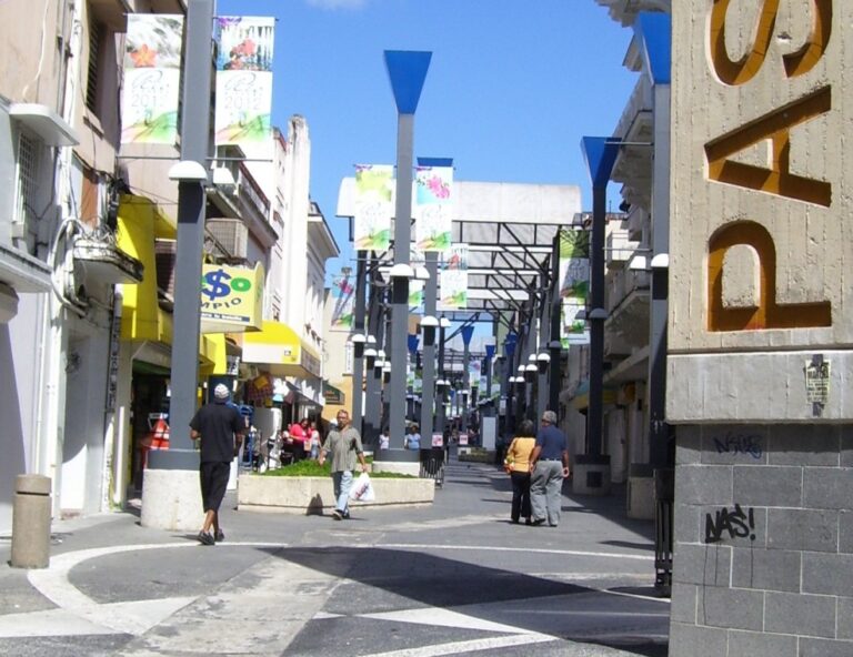 El FAE en Rio Piedras