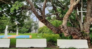 ¿Quiere usted su propio huerto?