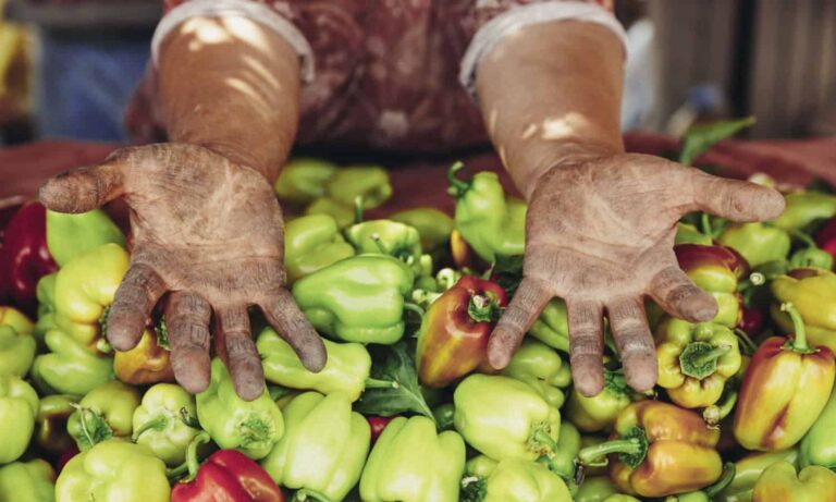 Creating a Boricua food revolution