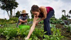 Boricua agriculture is our best revolution!