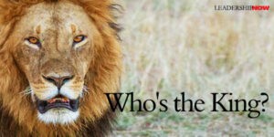 El rey de la selva está herido