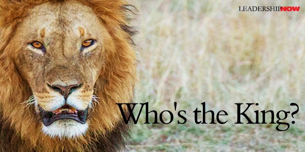 El rey de la selva está herido