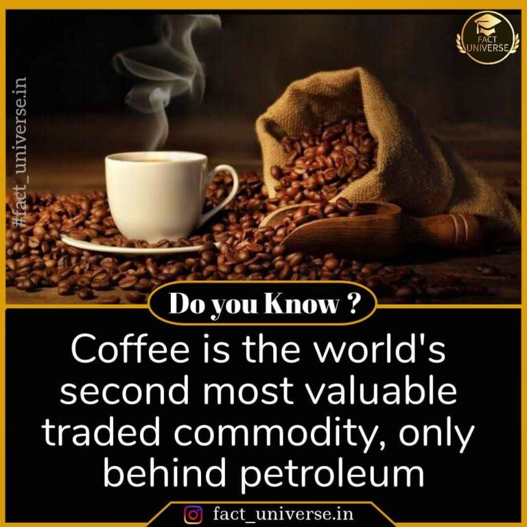 Capitalismo causa pobreza / Capitalism causes poverty