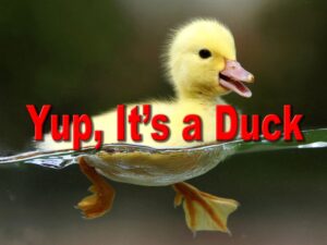 Why isn’t US a democracy?