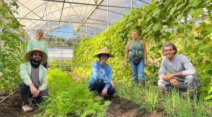 Soluciones boricua a nuestra pobreza