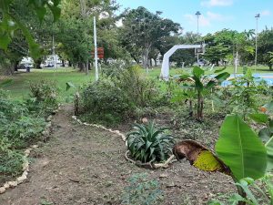 ¿Qué pasó con el Huerto Cristiano?