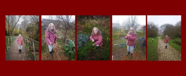 1. Historias de integración: mujeres migrantes en Europa