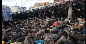 TRAS LAS HUELLAS DEL DOLOR