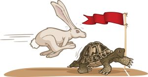 The Chinese Tortoise and the US Hare