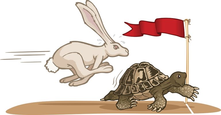 The Chinese Tortoise and the US Hare