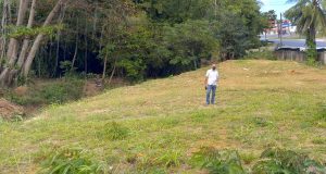 El Desarrollo del Huerto Cristiano II