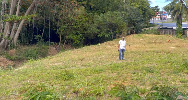 El Desarrollo del Huerto Cristiano II