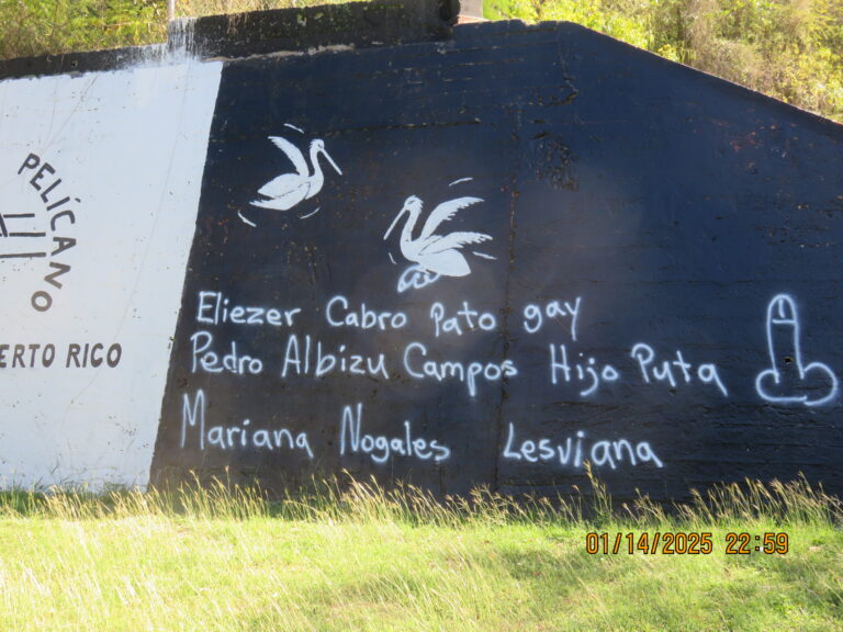 Vandalizan mural Campamento Pelícano en Aguadilla