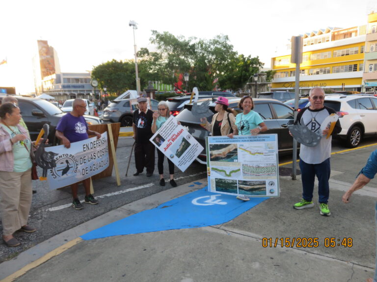 Demostración ante posesión del Alcalde Julio Roldan en Aguadilla