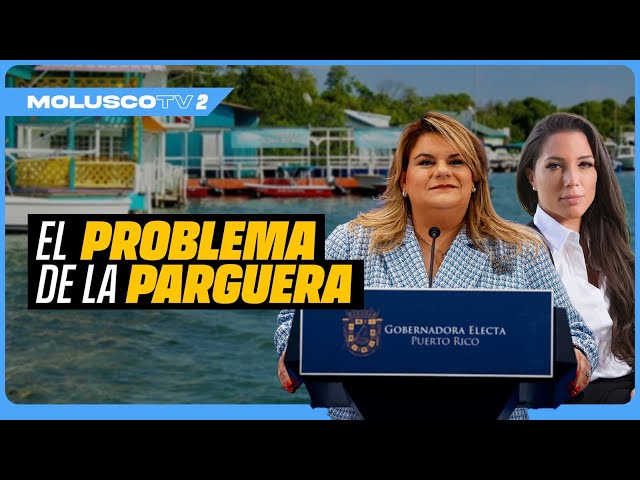 Ordenan publicar nombre de Caseteros de La Parguera y los citarán al Senado…