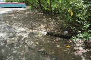 Policía de Puerto Rico….. Quién la controla… el Derecho o las órdenes de sus comisionados?…