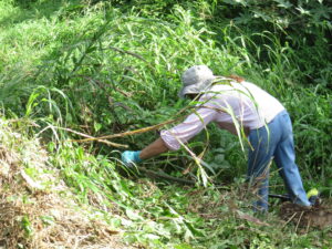 La Señal: ¿PERSECUCIÓN POLÍTICA EN PUERTO RICO? Entérate de esto y más en el primer episodio…