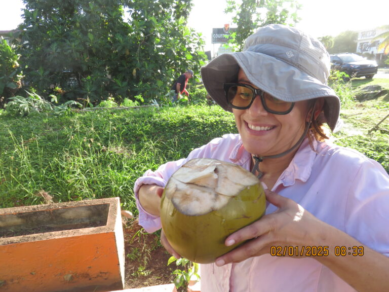 Limpian terreno para Desarrollo de Parque Comunal en Aguadilla