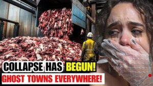 Does this look like democracy?