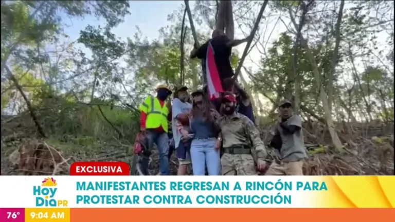 Continúa el Ecocidio en Rincón…