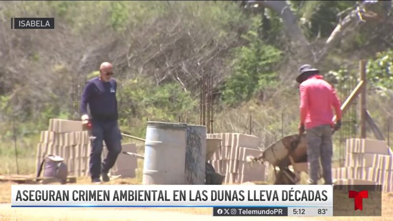 Contratistas en Isabela desafían orden de Vigilantes del DRNA y continúan construcción ilegal…