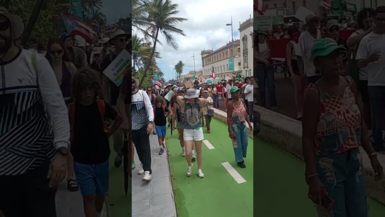 MARCHA NACIONAL CONTRA PROYECTO CRIMINAL DE ESENCIA EN CABO ROJO, PUERTO RICO