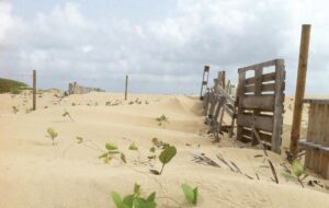 Las Dunas de Isabela…
