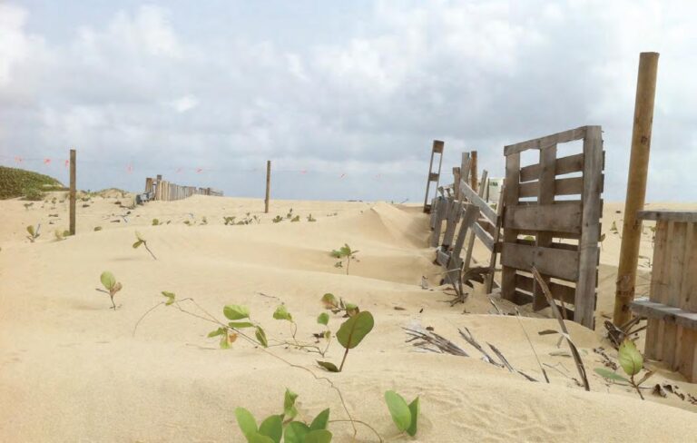 Las Dunas de Isabela…